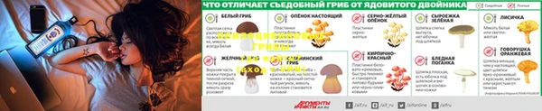 spice Арсеньев