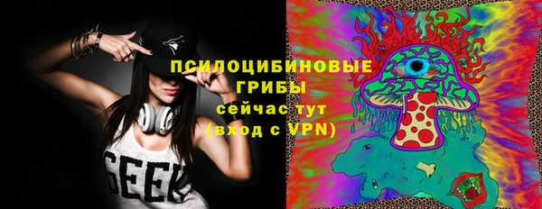 СК Горняк